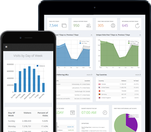 Bravenet Counters and Website Traffic Statistics